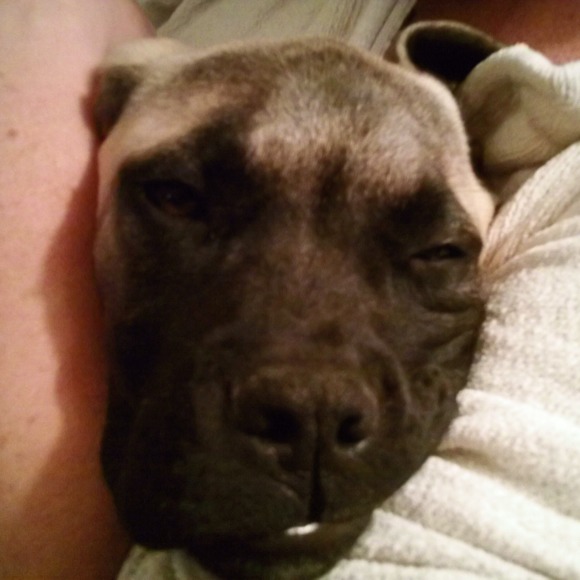 Meet your Posher, Michelle - Picture 1 of 1